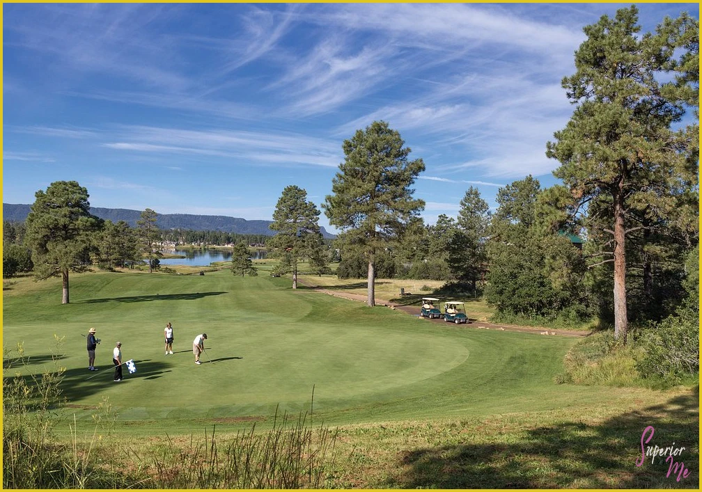 WorldMark Pagosa